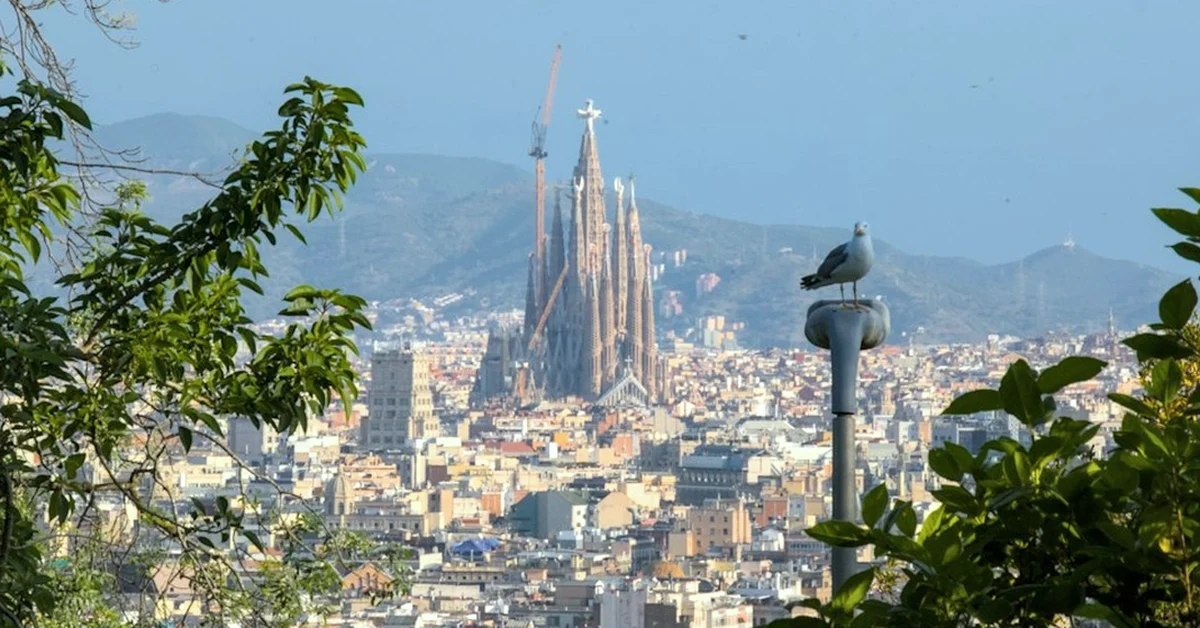 Coste de vida en Cádiz: cuánto cuesta vivir al mes en 2026