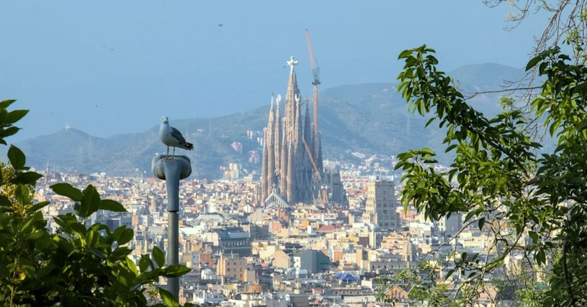 Empresas en Reus: las más grandes y dónde trabajar en 2026