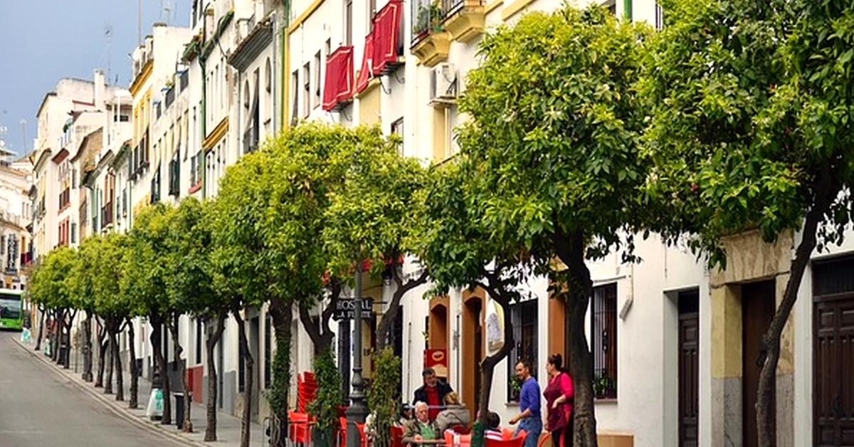 Vivir en Castellón de la Plana: guía 2026